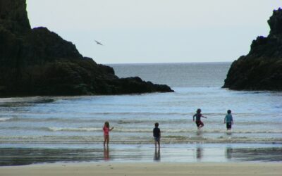 Stradbally Cove