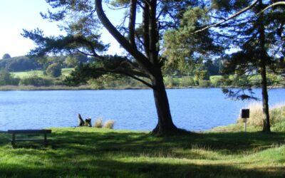 Lough Muckno