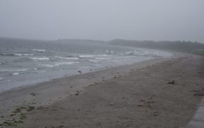 Ballywalter Beach