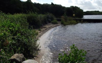 Cormongan Pier, Lough Allen