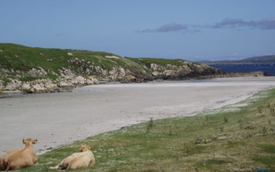 Doonloughan Bay, Connemara