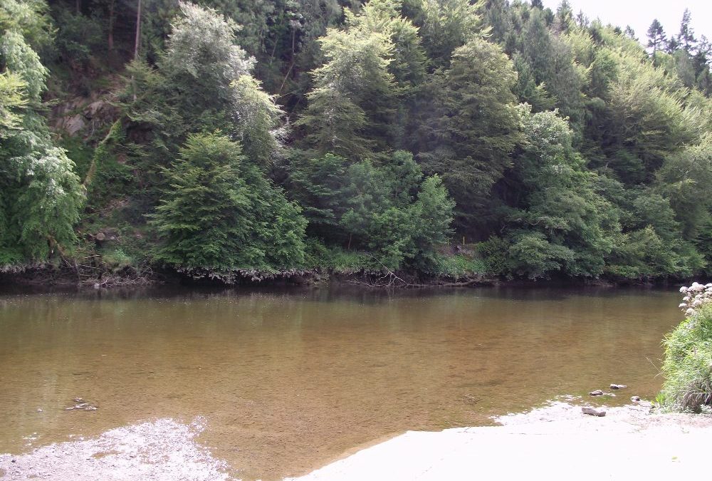 Inistioge, River Nore