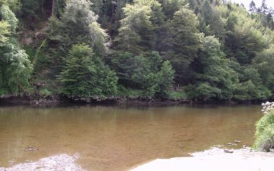 Inistioge, River Nore