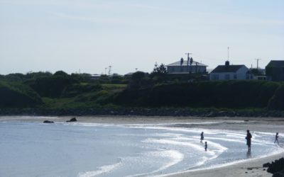 Loughshinny Beach