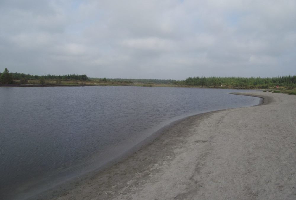 Portarlington ‘Costa Del Sod’ / ‘Bog Beach’