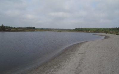 Portarlington ‘Costa Del Sod’ / ‘Bog Beach’