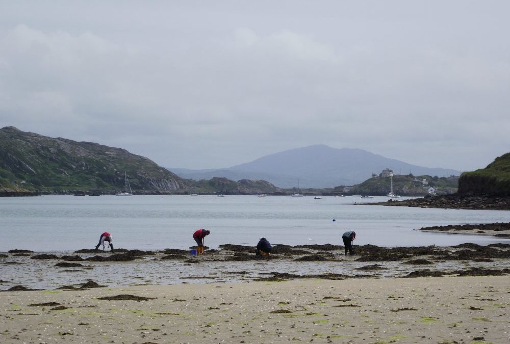 White Strand, Crookhaven