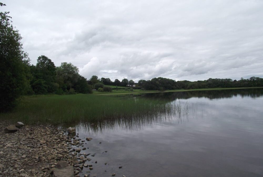 Emy Lough, Emyvale