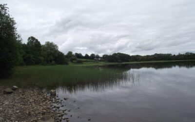 Emy Lough, Emyvale