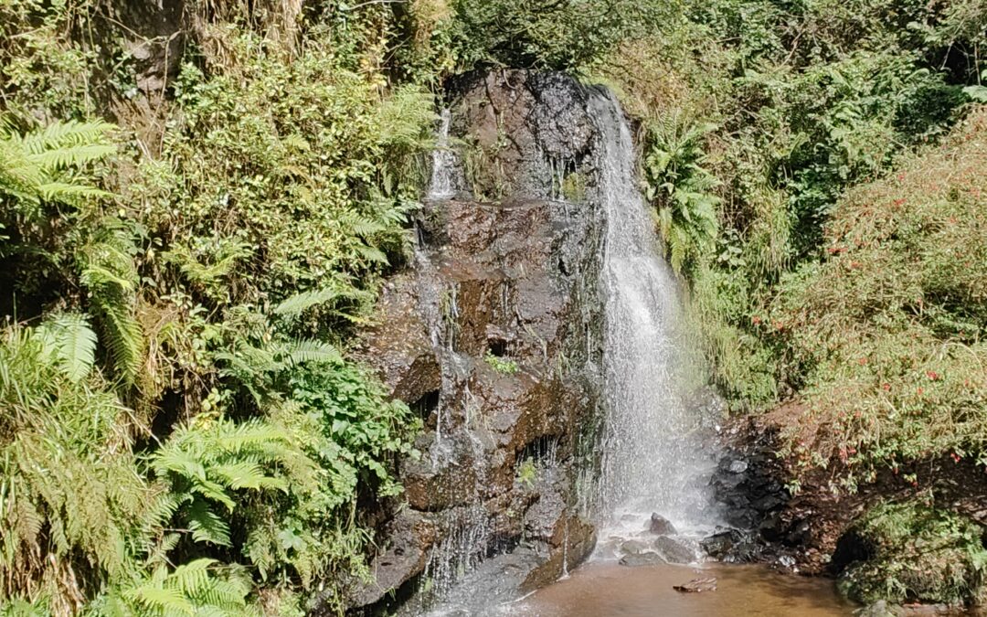 Dip your toes in at Ballard Waterfall near Mitchellstown Co. Cork.